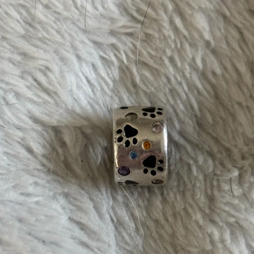 Silver Paw Print Charm for Pets